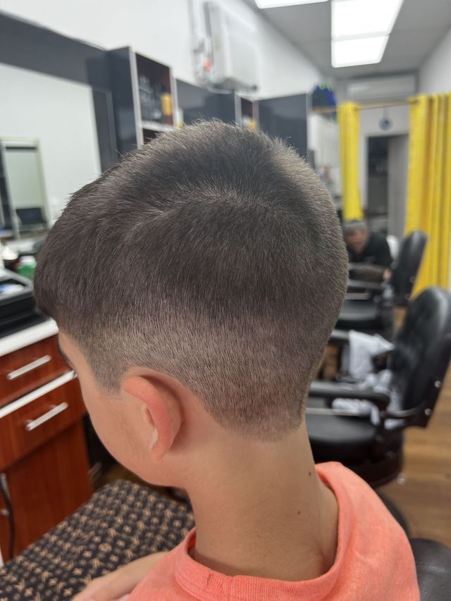 Clean taper fade, back view, done at Efraim's Barber Shop